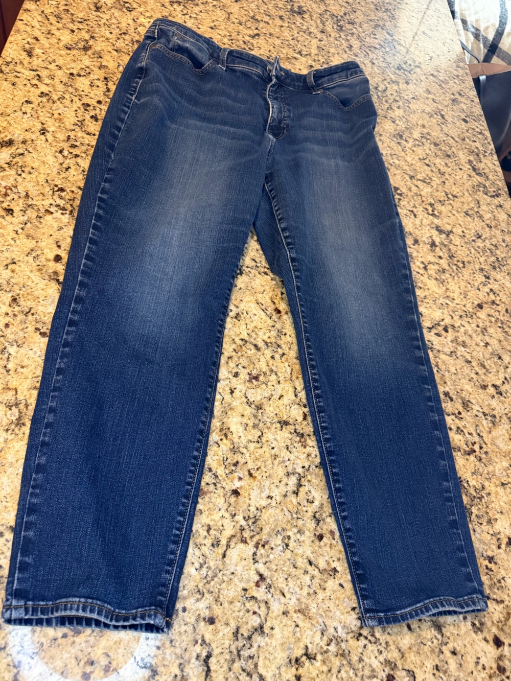 Talbots Skinny Jeans in Deep Blue Wash